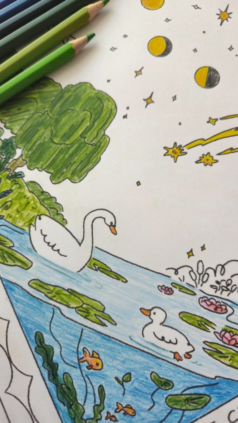Ausmalmotiv Schwan und Ente